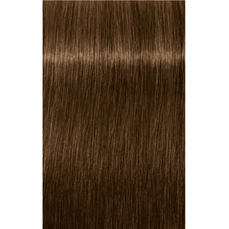 IGORA Vibrance