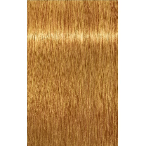 IGORA Royal 9-48 IGORA Royal 9-48