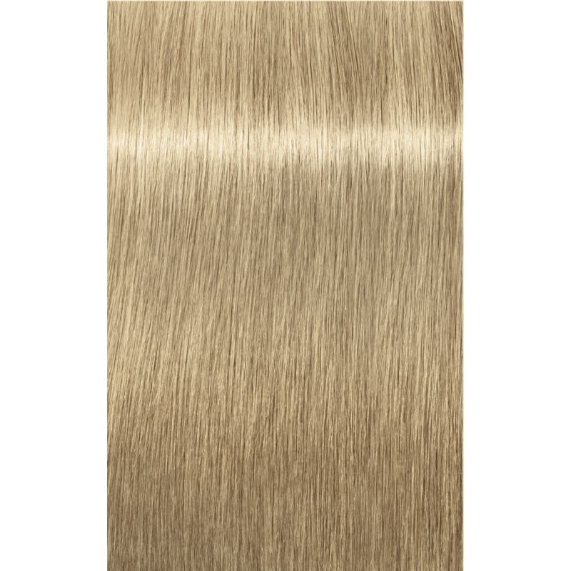 IGORA Royal 9-48